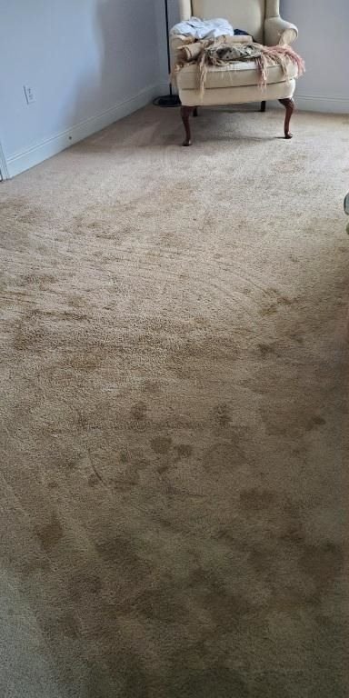 Carpet cleaning pass before Bright Path cleaning